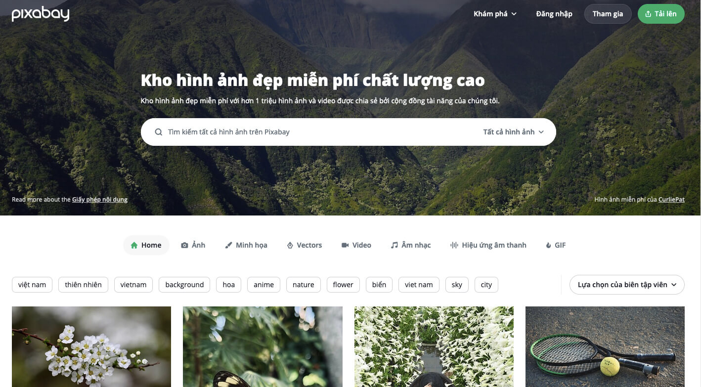 Hướng dẫn tải video chất lượng cao - Nâng tầm trải nghiệm giải trí