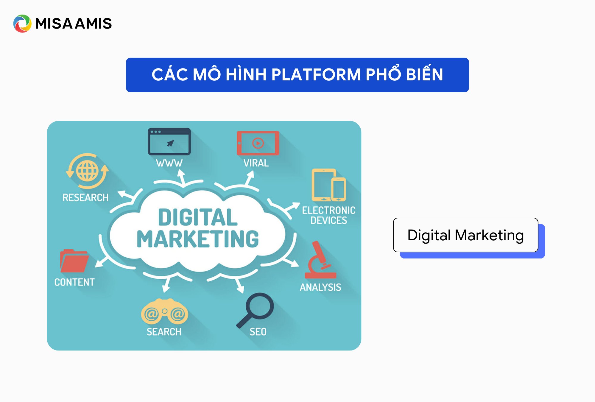 Khám phá 8 Platform Phổ Biến - Bí Quyết Lifestyle Hóa Sản Phẩm Của Thương Hiệu