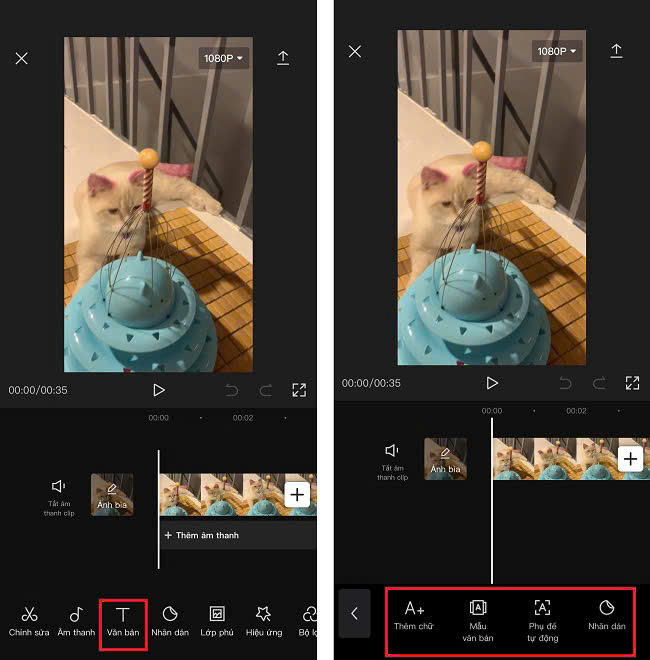 Khám Phá Cách Chuyển Ảnh Thành Video Hấp Dẫn – Từ Ý Tưởng Đến Thực Tế