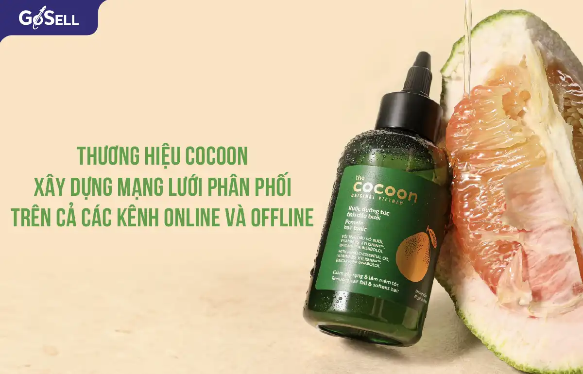 Chiến Lược Marketing Của Cocoon – Bí Mật Thành Công Mỹ Phẩm Thuần Chay Việt Nam
