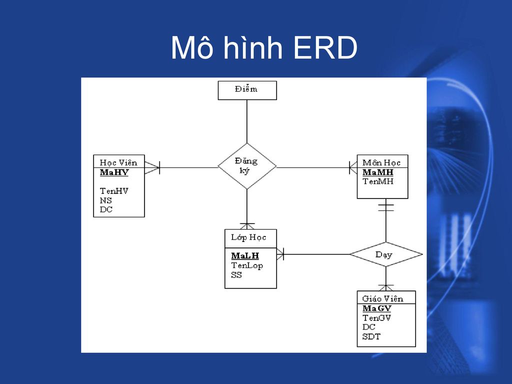 Khám Phá Mô Hình ERD – Định Nghĩa, Lợi Ích Và Ứng Dụng