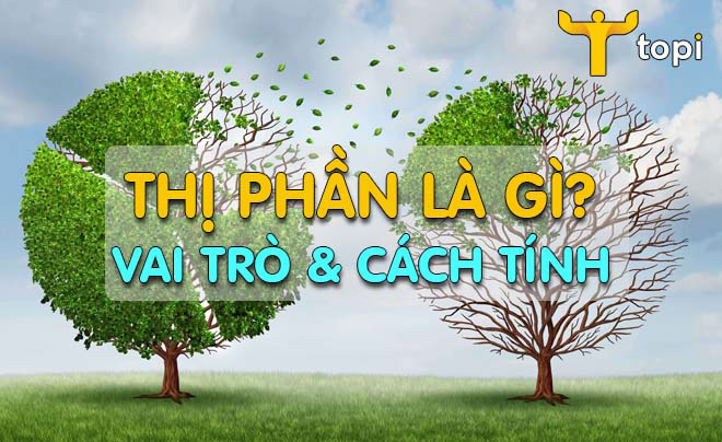 Khám Phá Thị Phần Định Nghĩa, Ví Dụ Và Cách Tính