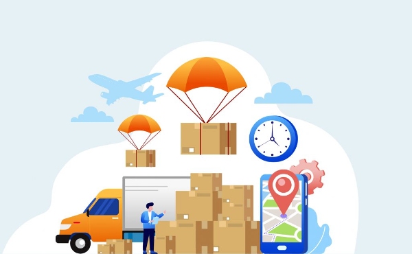 Khám Phá Trung Gian Phân Phối Vai Trò Và Loại Hình Nổi Bật
