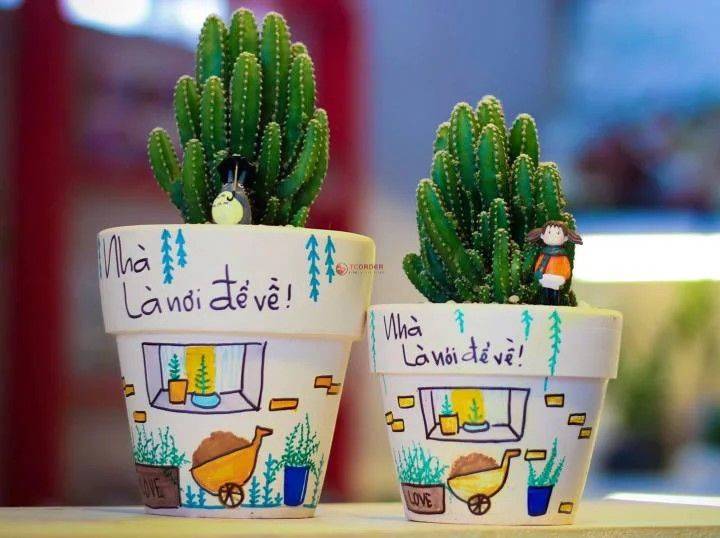 Kinh Nghiệm Kinh Doanh Cây Cảnh Mini – Hành Trang Cho Người Mới Bắt Đầu