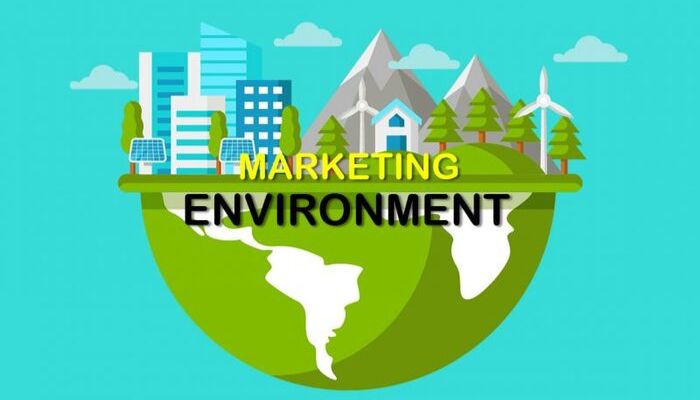 Môi Trường Vĩ Mô Là Gì? - Yếu Tố Tác Động Đến Marketing Hiện Nay