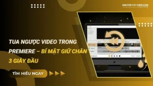 Tua ngược video trong Premiere